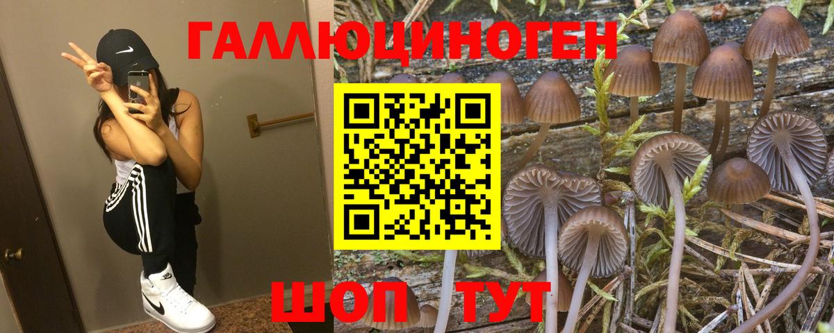 Железногорск  Псилоцибиновые грибы ЛСД  Галлюциногенные грибы мухоморы  Вход с VPN 